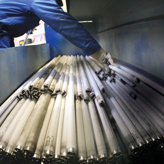 person putting fluorescent bulbs in bin