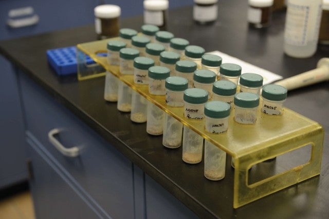 Test tubes for soil sampling